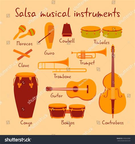 Salsa Instruments