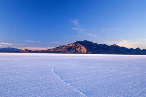 Salt Flat Experience