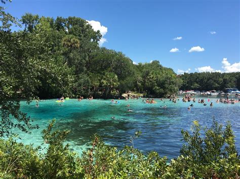 Salt Springs Florida