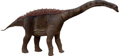 Saltasaurus