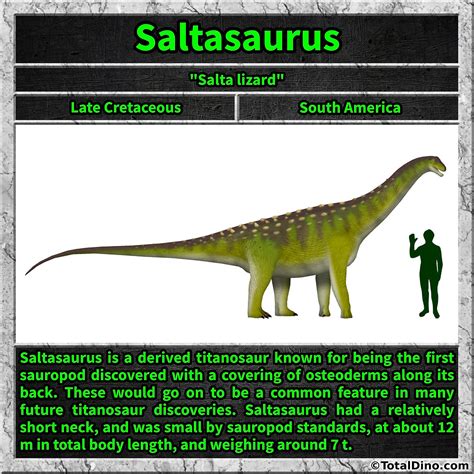 Saltasaurus Evolutionary Tree