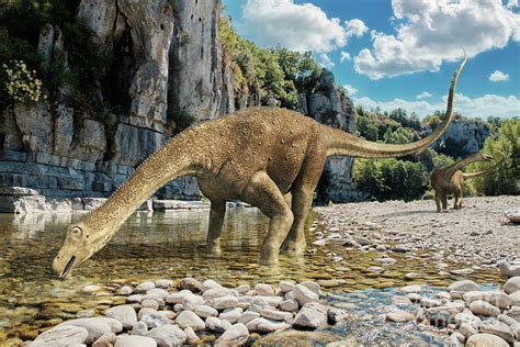 What Was Saltasaurus?