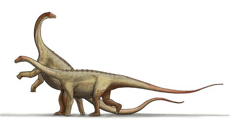 The Habitats of Saltasaurus