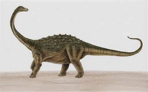 Saltasaurus Reconstruction