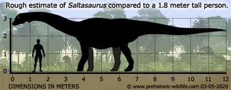 Saltasaurus Size Comparison