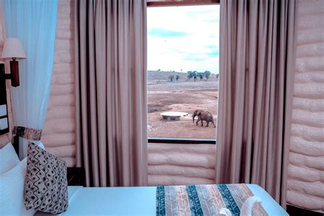 Saltlick Lodge Room View