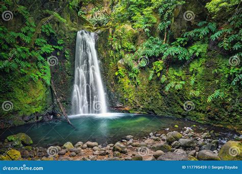 Salto Do Prego Hike: A Comprehensive Review w/ Waterfalls & Picnic