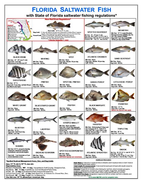 Saltwater Fish Identifier Durability