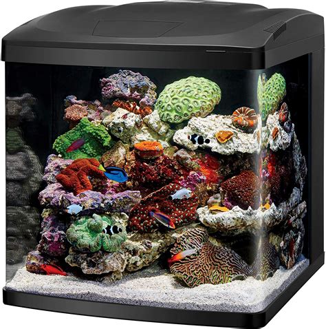 Saltwater fish tank kit