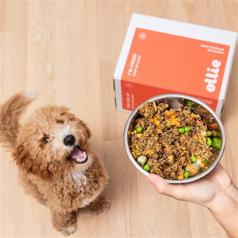 Never Leave Your Best Friend Hungry Again: Enjoy the Convenience and Peace of Mind with Same Day Dog Food Delivery!
