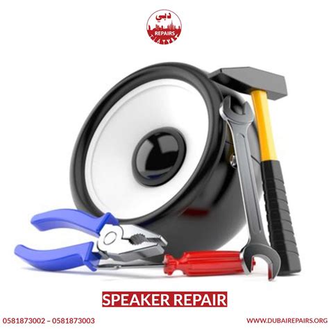 Same Day Speaker Repair Service
