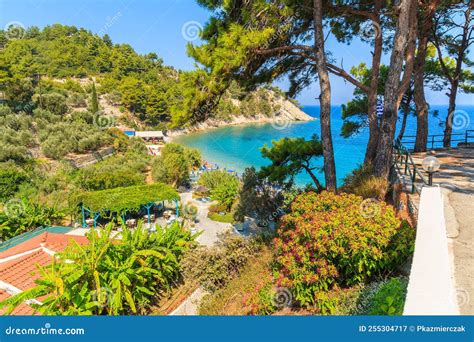 Samos Full Day Bus Tour: An In-depth Review & Guide