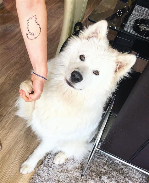 Samoyed Tattoo: A Unique Way To Show Your Love For Your Furry Friend