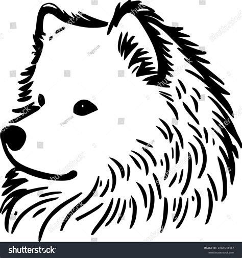 Samoyed Face Stock Vector Images Alamy
