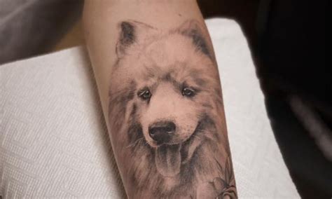 15 Ideas for Samoyed Tattoo Page 2 of 5