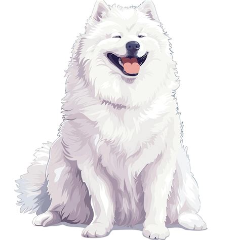 Samoyed dog isolated Royalty Free Vector Image