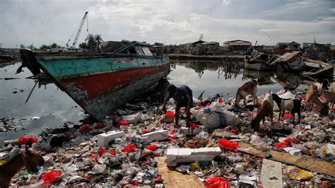 Sampah Indonesia