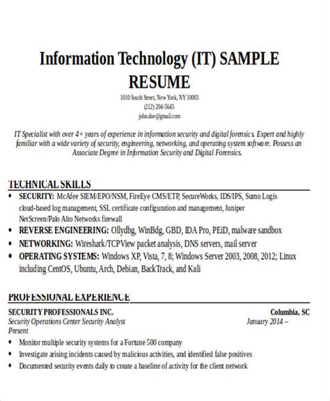 Sample Resume For It Professional