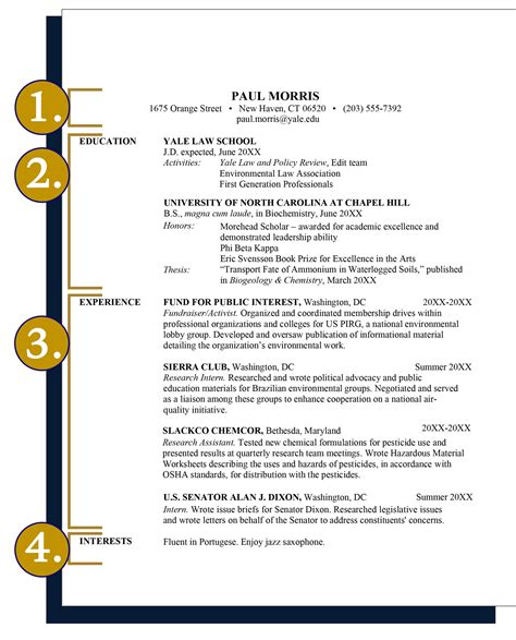12 Yale Resume Template Samples Resume Template