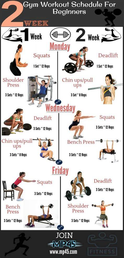 Sample Gym Workout Routine for Beginners