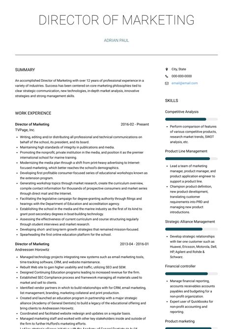 Sales & Marketing Director Resume Samples Velvet Jobs