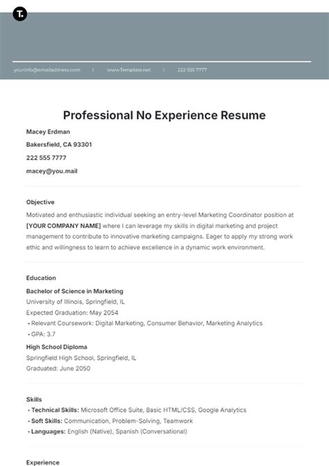 Sample Objectives In Resume For No Experience