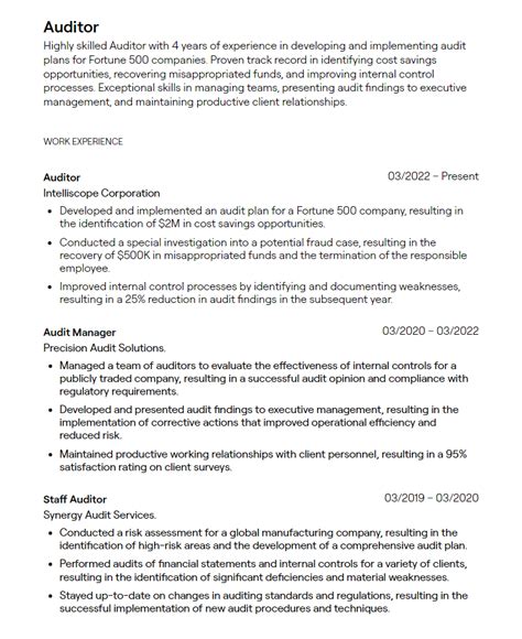 Sample Resume Auditor
