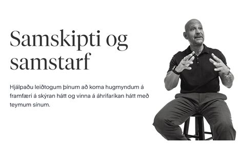 Samskipti (Communication)