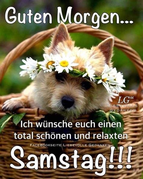 Samstag Bilder