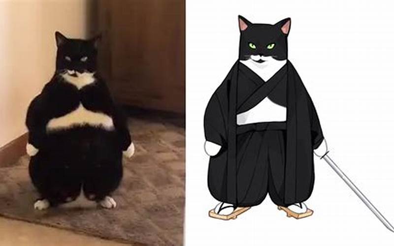 Samurai Cat Meme