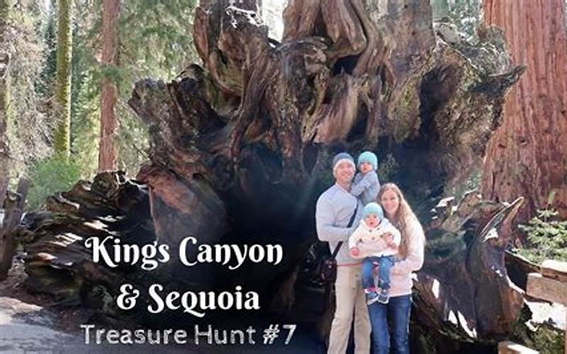San Sequoia Treasure Hunting