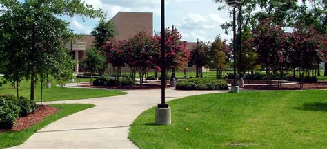 San Jac Course Catalog