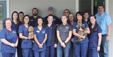 Quality Pet Care in San Marcos: Discover the Exceptional Services of San Marcos Animal Medical Center
