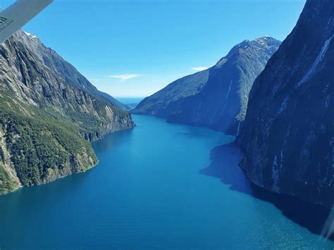 Sandflies Milford Sound