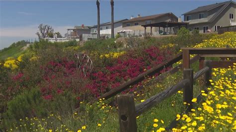 Spring in San Diego