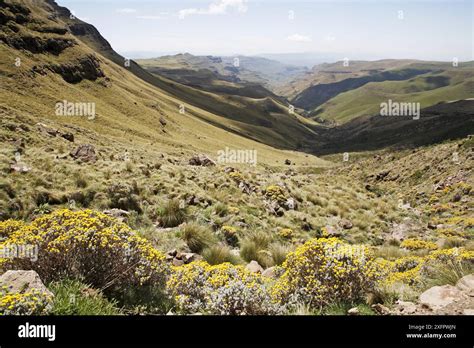 Sani Pass Mountains