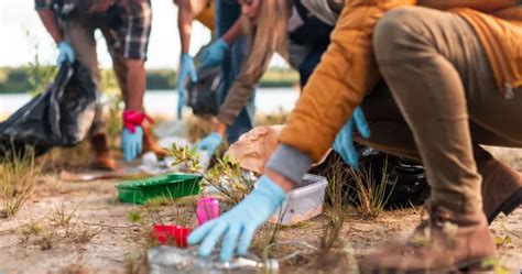 Sanitation and Habitat Modification