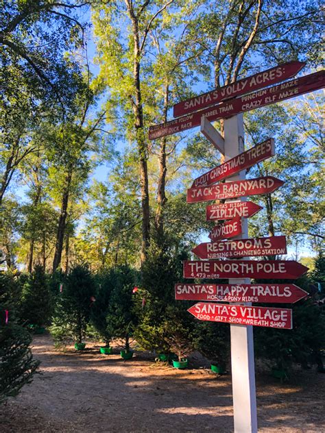 Santa's Farm