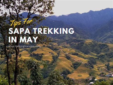 Sapa Tips