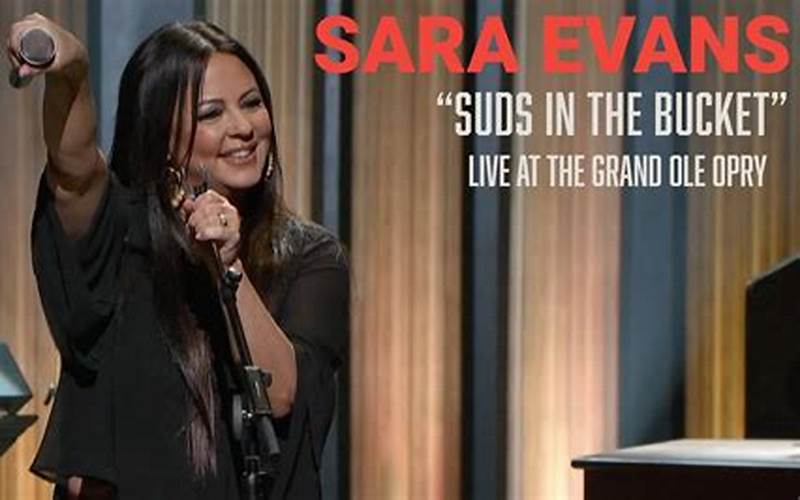Sara Evans Suds In The Bucket Official Music Video Reception