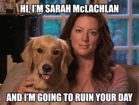 Sarah Mclachlan Dog Meme