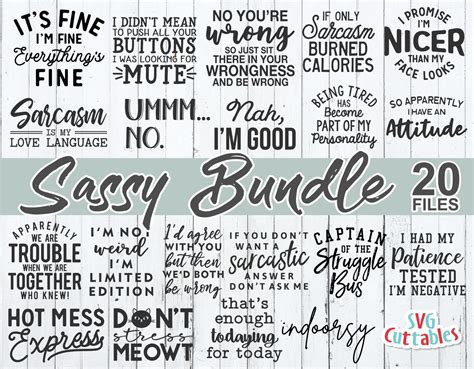 Download Sarcastic Sassy Bundle Cut Files