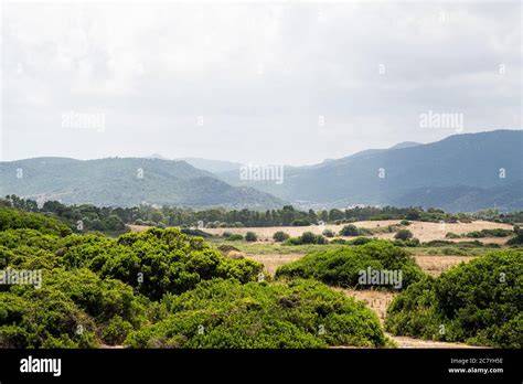 Sardinian landscape