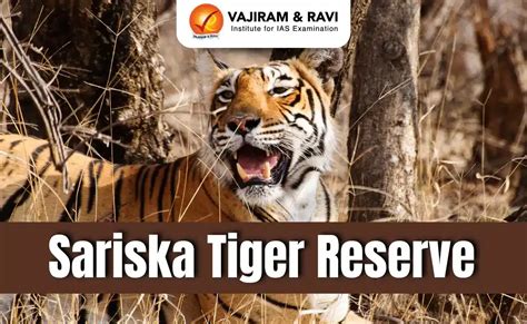 Sariska Tiger Reserve History