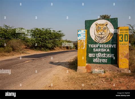 Sariska Tiger Reserve Landscape