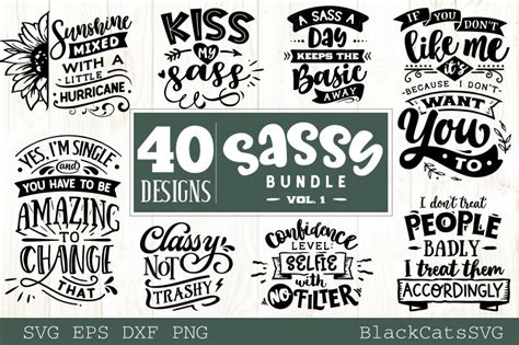 Download Sassy Bundle 40 Designs Files