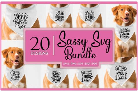 Download Sassy Luxe Bundle - 136+ Popular SVG File Printable