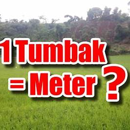 Conversion of Satu Tumbak to Meters in Indonesia