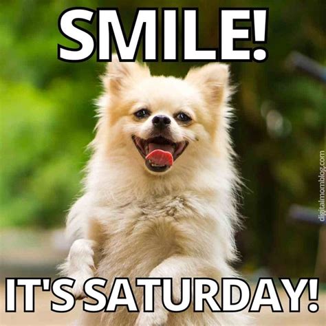 Saturday Dog Pictures