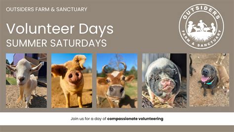 Saturday Volunteer Work